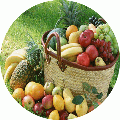 Comida e Consciência: Orientações e Reflexões sobre a Qualidade dos Alimentos e a Consciência ao Prepará-los